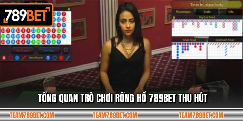 Tổng quan trò chơi rồng hổ 789BET thu hút